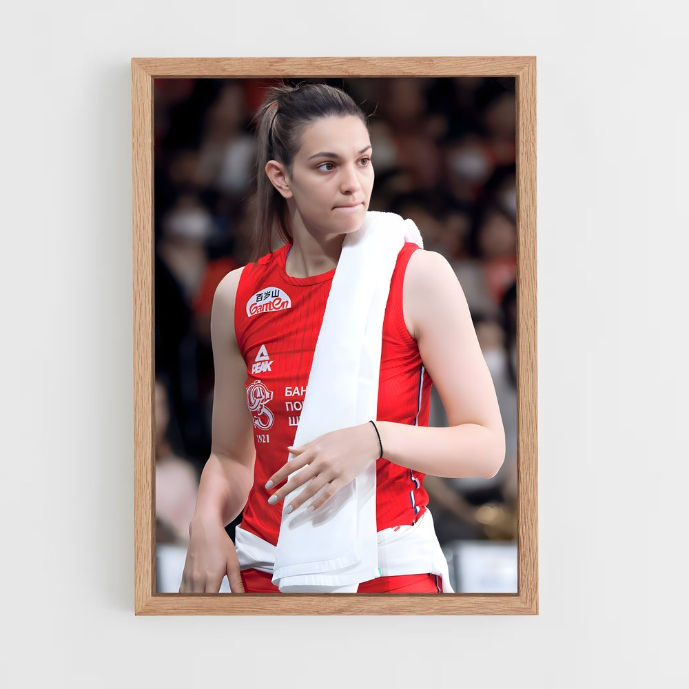 Poster Serbia de national – affiche Volleyball (vue 4)